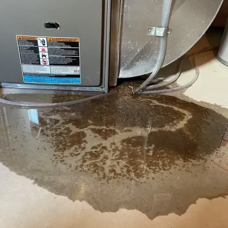 Appliance Leak Cleanup in Churchill County, NV